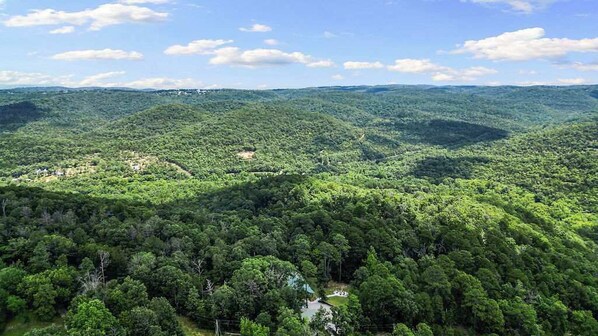A forested landscape with rolling hills and a small settlement.