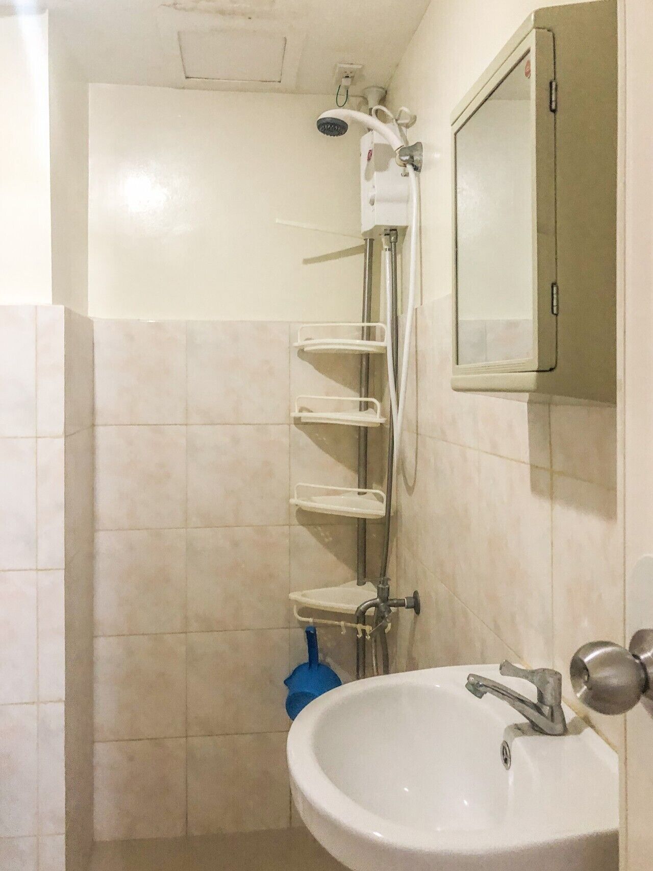 A bathroom with a white sink, a mirror, a shower with a handheld showerhead, and a blue plunger.