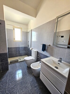 Dusche, Haartrockner, Bidet, Handtücher