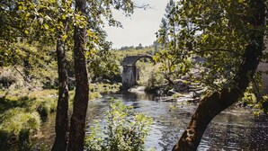 Um rio com uma ponte de pedra ao fundo, rodeado por árvores e vegetação.