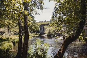 Un riu amb un pont de pedra al fons, envoltat d'arbres i vegetació.