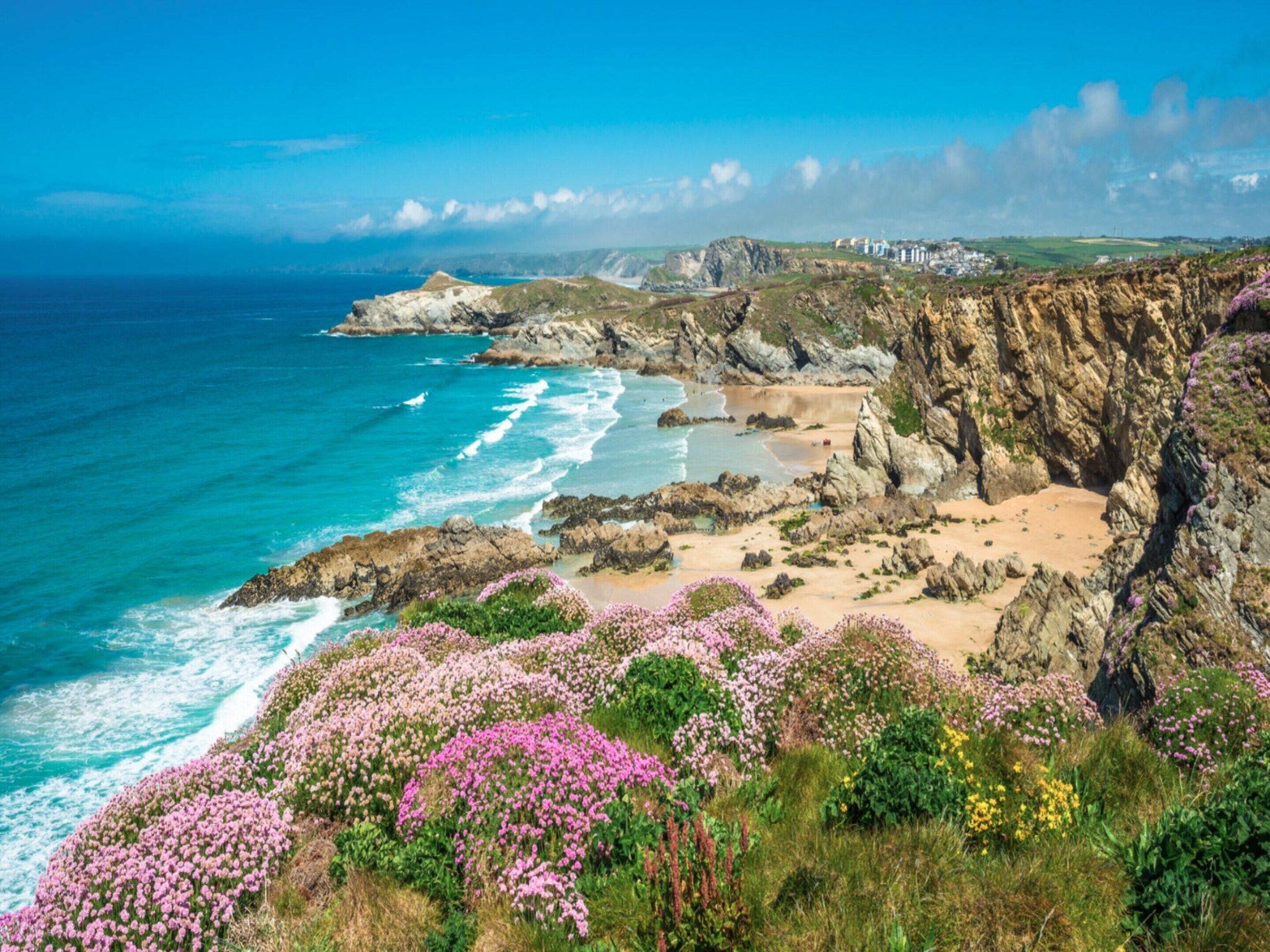 Paesaggio costiero con scogliere rocciose, una spiaggia sabbiosa e diverse varietà di fiori selvatici.