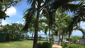 A pathway leading to a beach with palm trees and a fence.