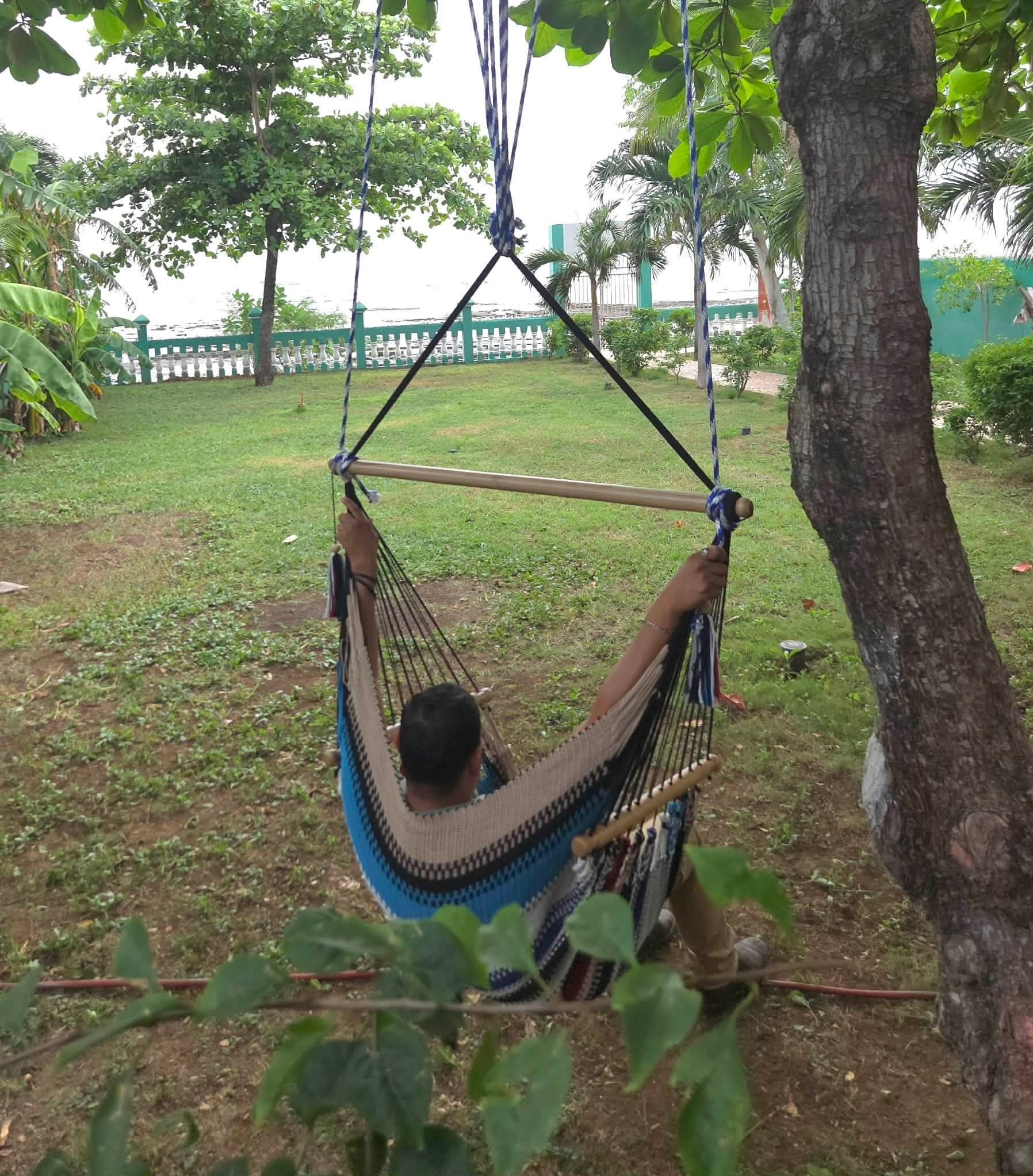 A hammock suspended between trees in a grassy area with a fence and greenery in the background.