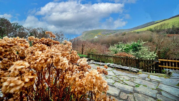 A stone pathway leading to a wooden fence overlooking a hilly landscape with a clear sky. - Historic Cornish Valley Cottage for 5 (Bude)