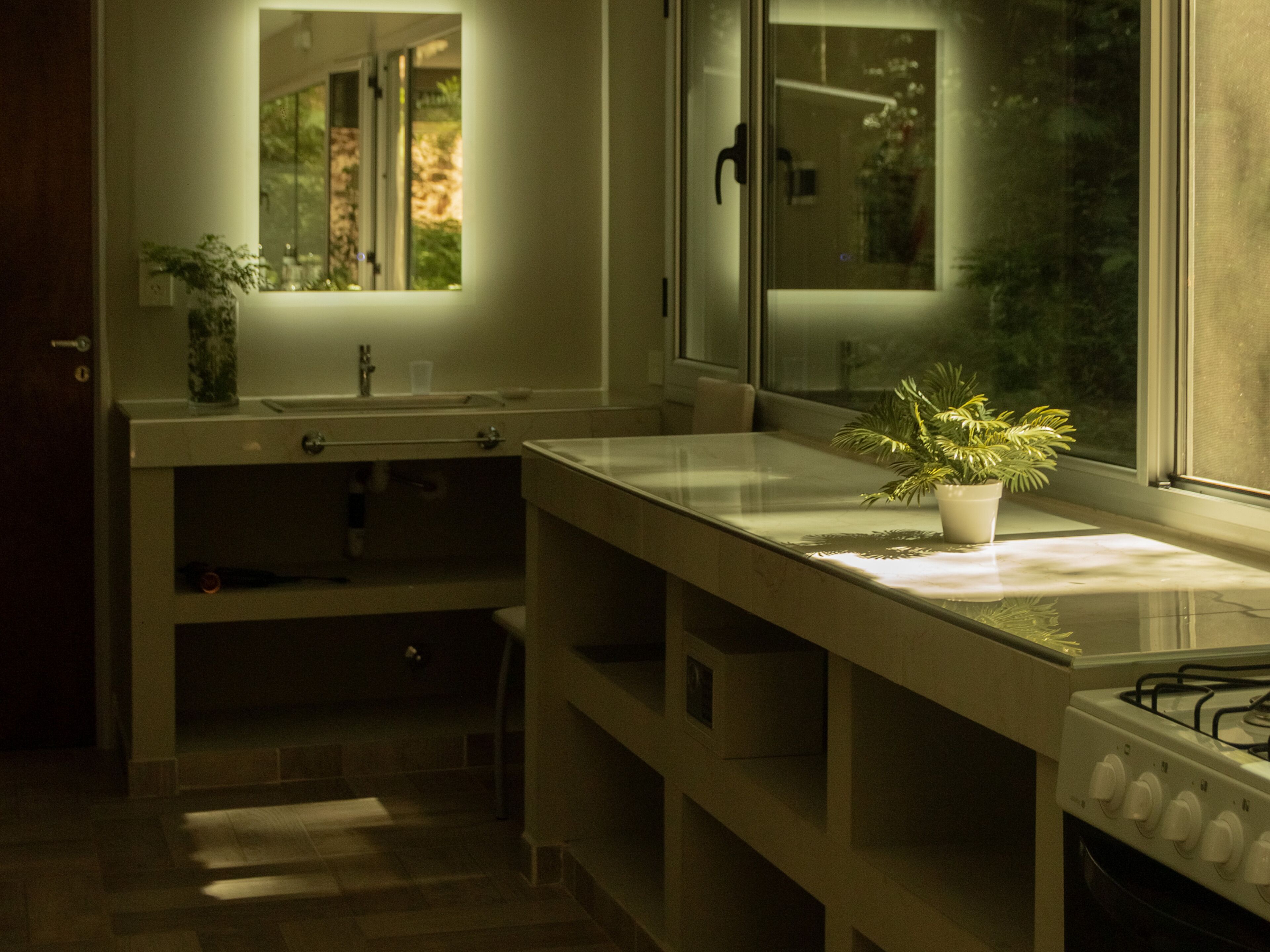 A kitchen with a countertop, sink, cabinet, and a potted plant.