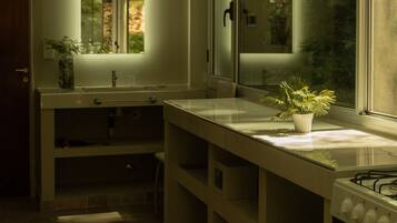A kitchen with a countertop, sink, cabinet, and a potted plant.