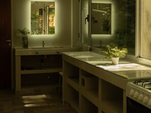 Cocina con mostrador, pileta, alacena y planta en maceta.