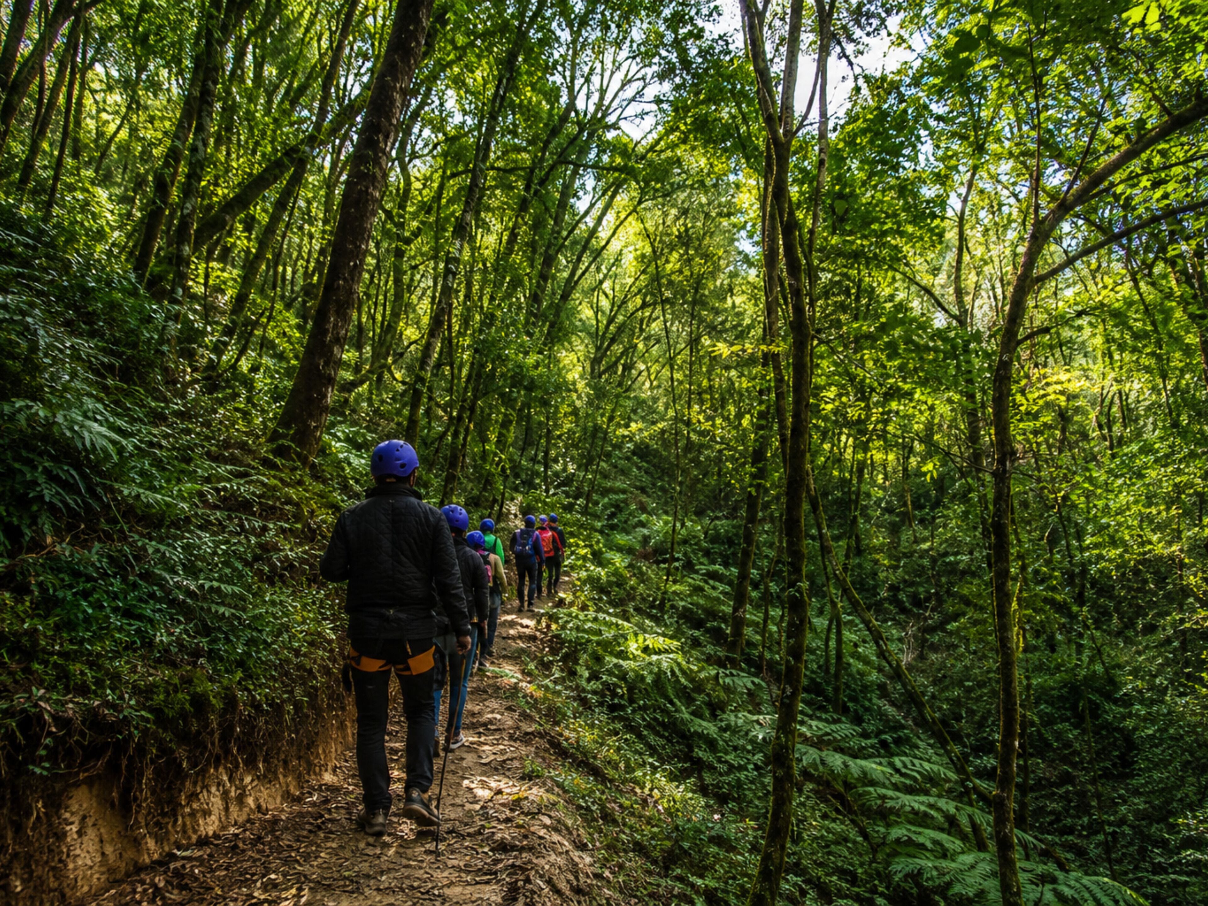 Sendero boscoso para excursionismo, con personas usando cascos y mochilas.