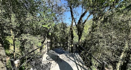 Eco Lodge de la Selva