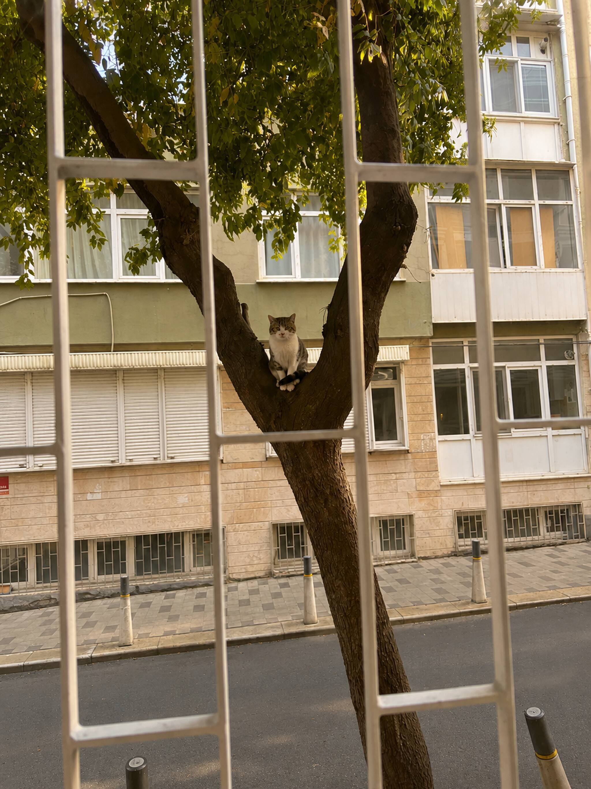 Shared Dormitory, 1 Bedroom, Smoking | Interior