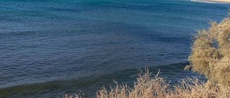 Serviettes de plage