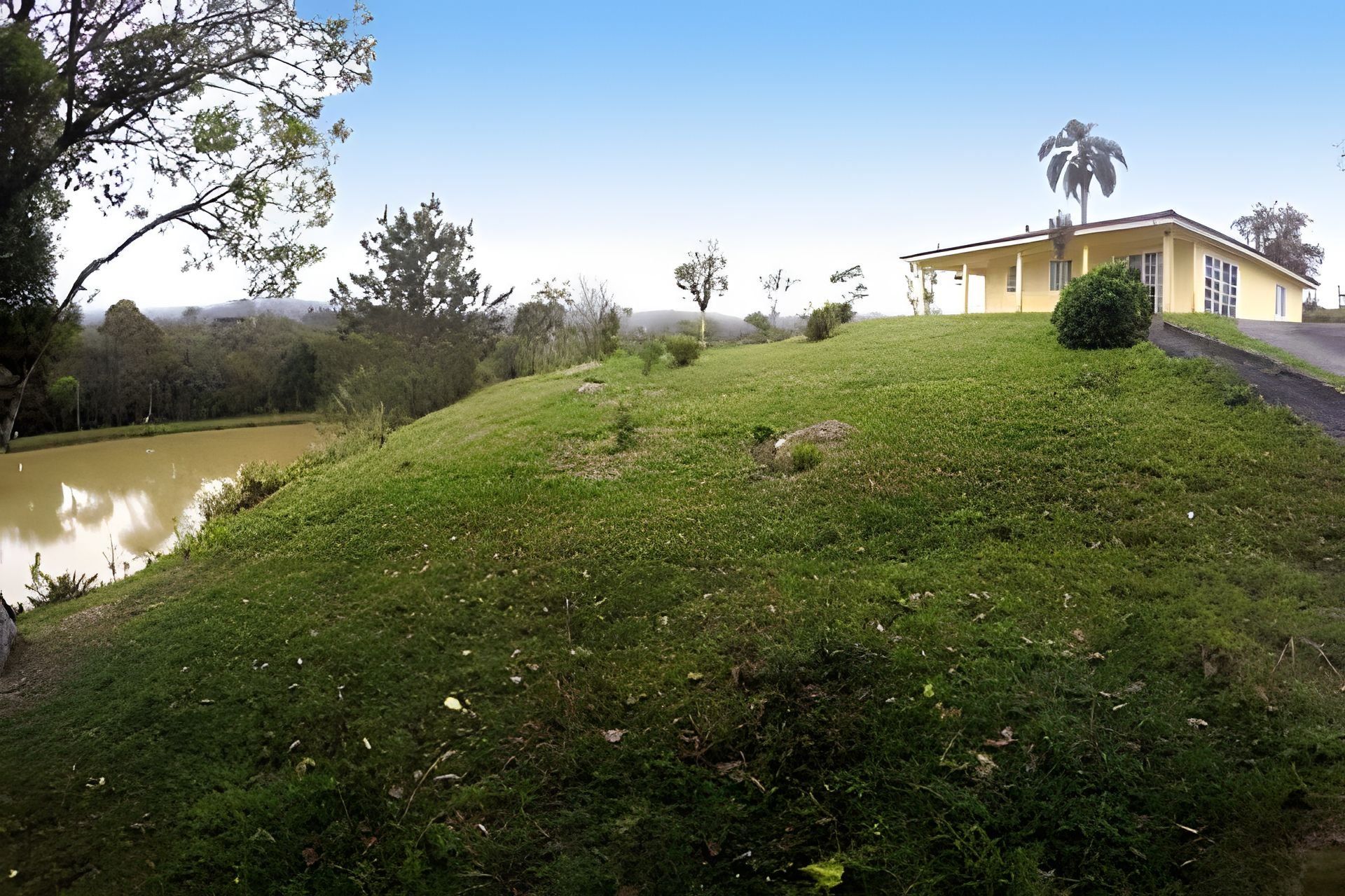 Zona verde con una masa de agua y un edificio con una palmera.