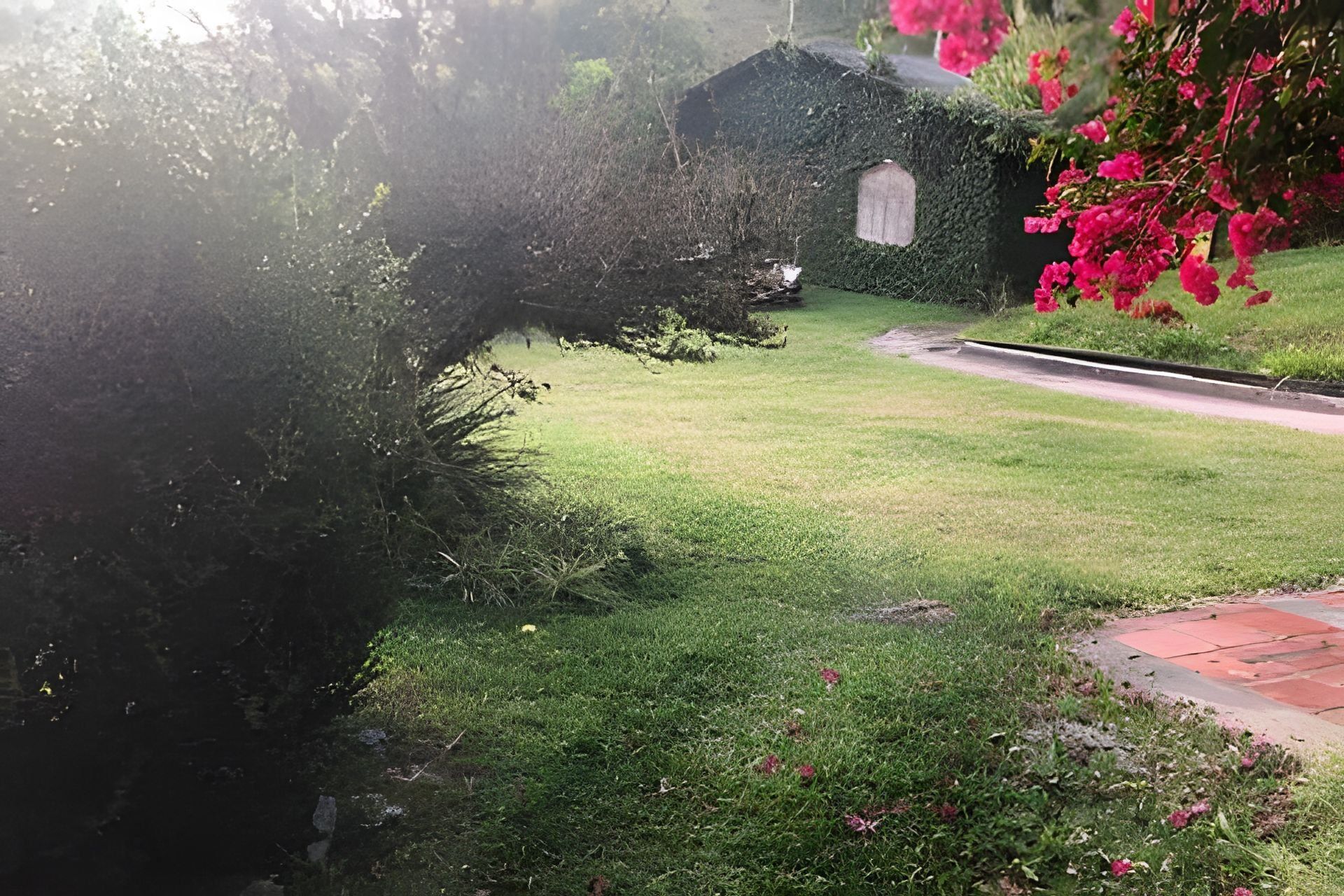 Um jardim com um caminho que leva a uma pequena construção.
