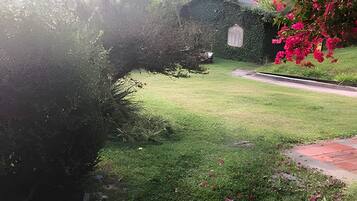 Um jardim com um caminho que leva a uma pequena construção.