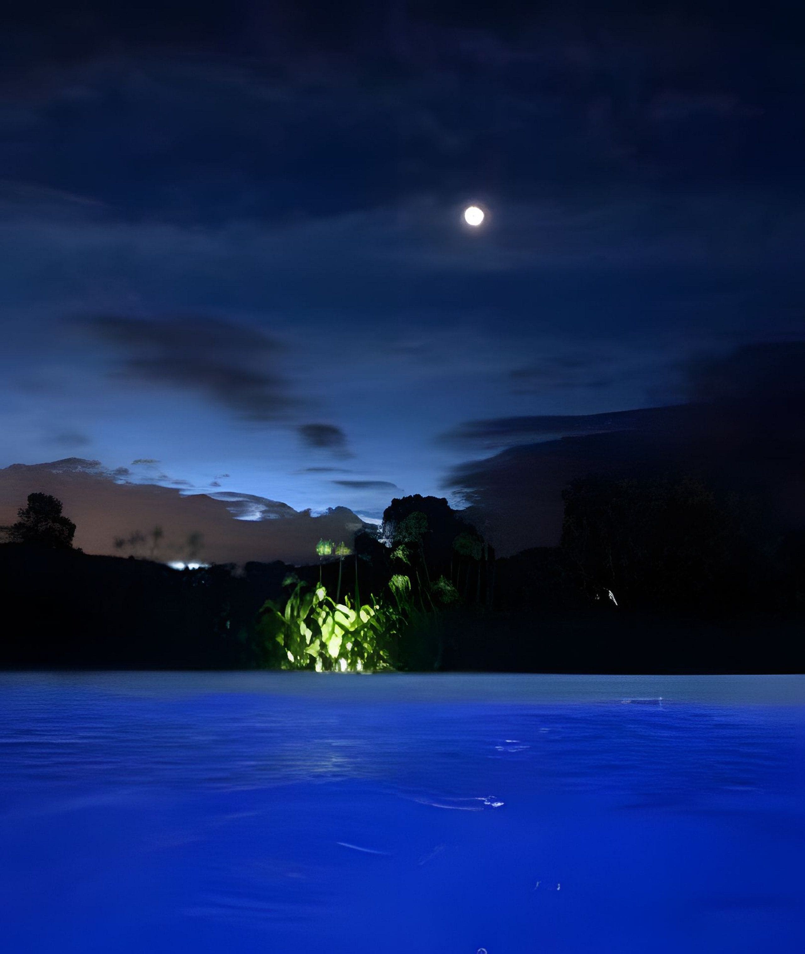 Vista nocturna de una playa con mar tranquilo, una luna visible y una pequeña estructura iluminada a lo lejos.