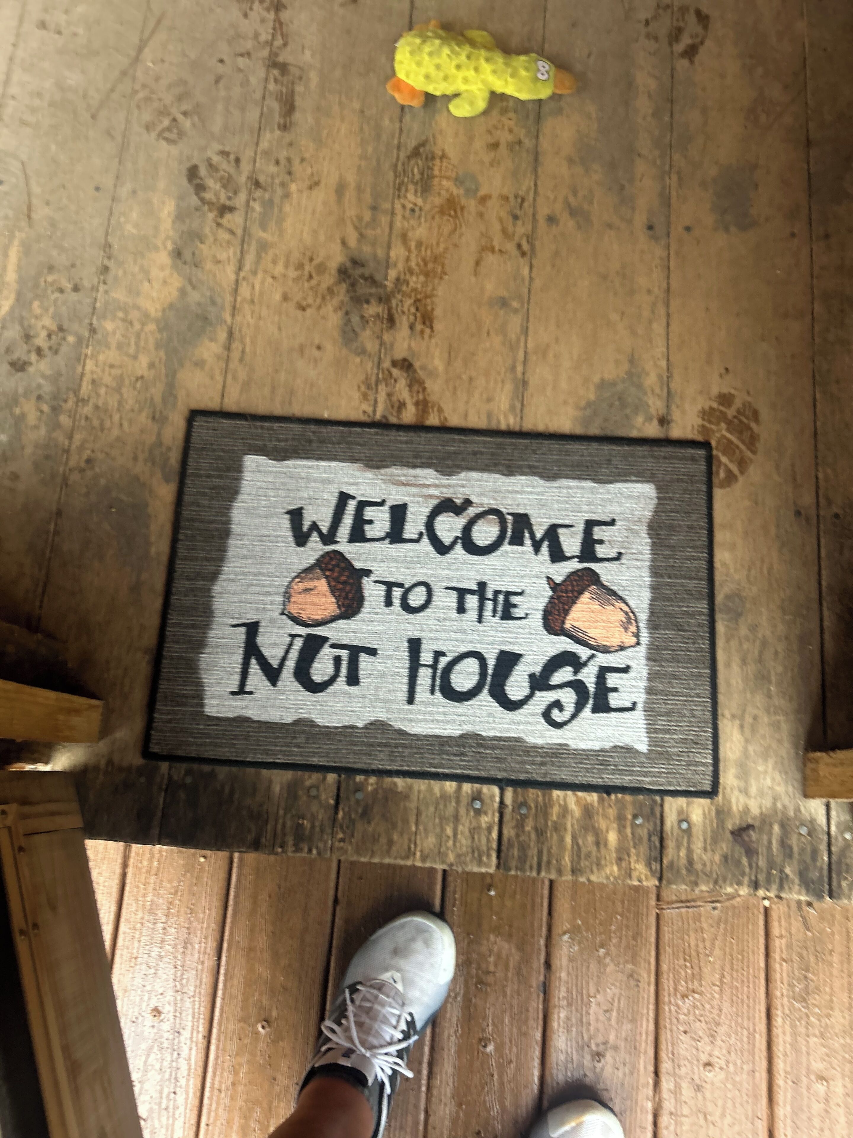 A wooden floor with a welcome mat that reads 'WELCOME TO THE NUT HOUSE' and a yellow toy in the background.