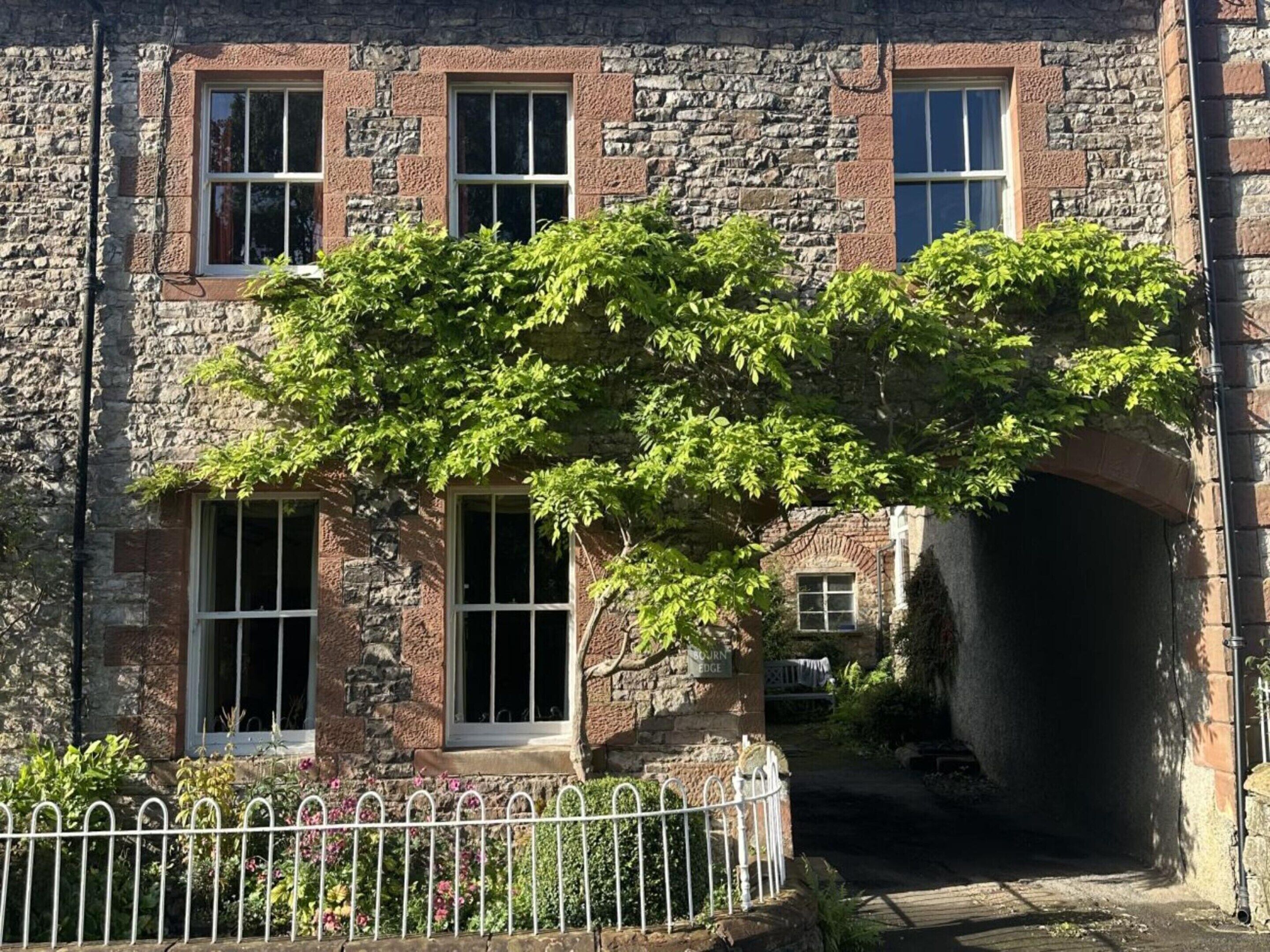 A stone building with multiple windows and a tree in front.