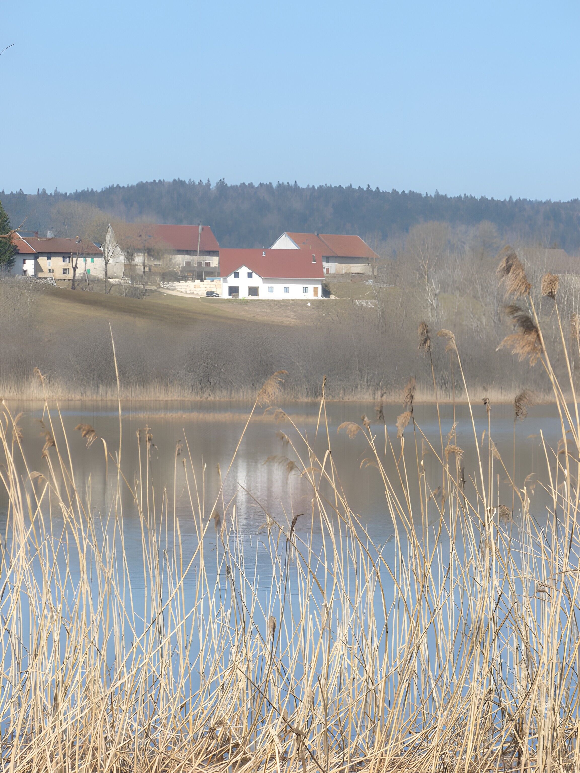 Ländliche Landschaft mit einem Gewässer, Schilf und einer Reihe von Häusern mit roten Dächern.