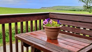 A wooden bench with a terracotta pot of flowers on it, set against a backdrop of a green landscape and a clear sky. - Scenic Snowdonia Border Cottage for 4 (Bude)