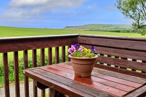 A wooden bench with a terracotta pot of flowers on it, set against a backdrop of a green landscape and a clear sky. - Scenic Snowdonia Border Cottage for 4 (Bude)