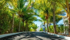 A curved road lined with palm trees and a white building with blue accents in the distance. - Turks & Caicos Retreat | 1BR Private | Experiences (Providenciales)