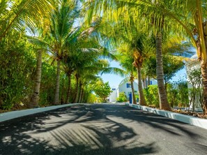 A curved road lined with palm trees and a white building with blue accents in the distance. - Turks & Caicos Retreat | 1BR Private | Experiences (Providenciales)
