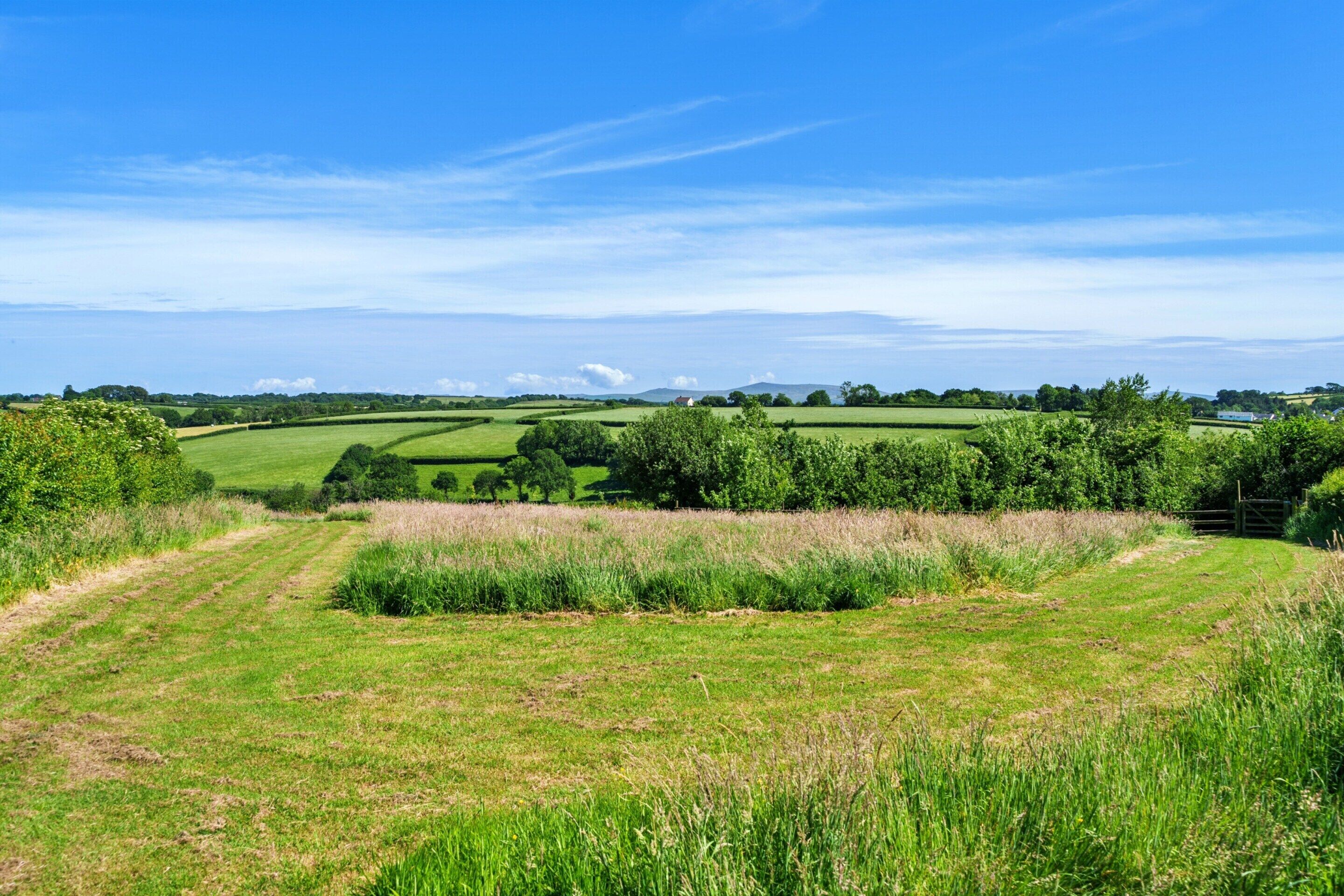 A rural landscape with rolling green fields, a clear blue sky, and distant hills.