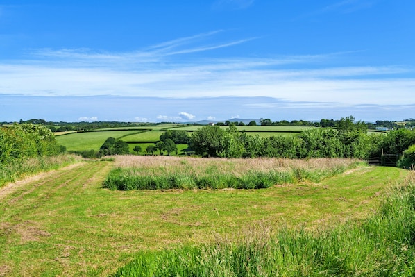 Un paysage rural caractérisé par de vastes champs verdoyants, un ciel bleu dégagé et des collines lointaines.