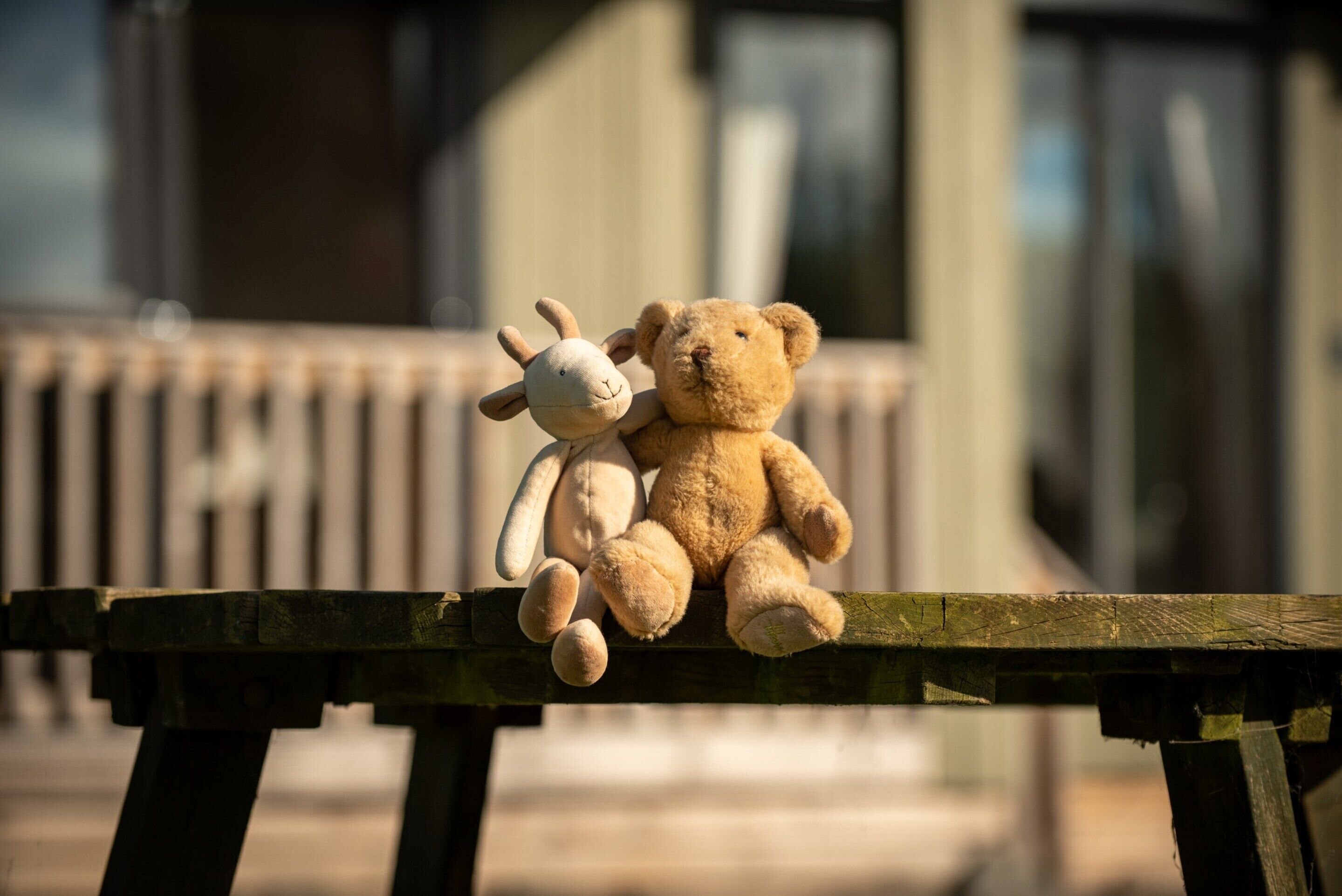Deux peluches, un ours et un lapin, sont assis sur un banc en bois.