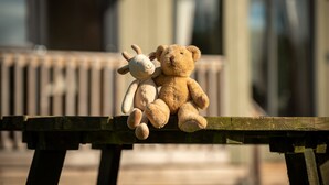 Twee knuffels, een beer en een konijn, zitten op een houten bankje.