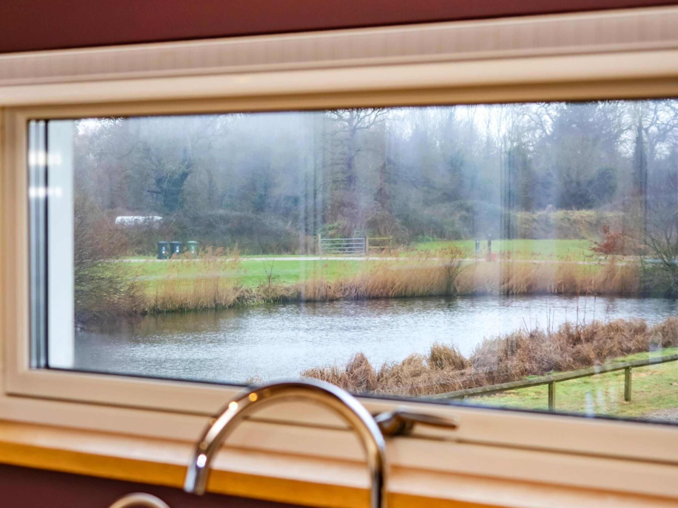 A window with a view of a lake, a grassy area, and trees.