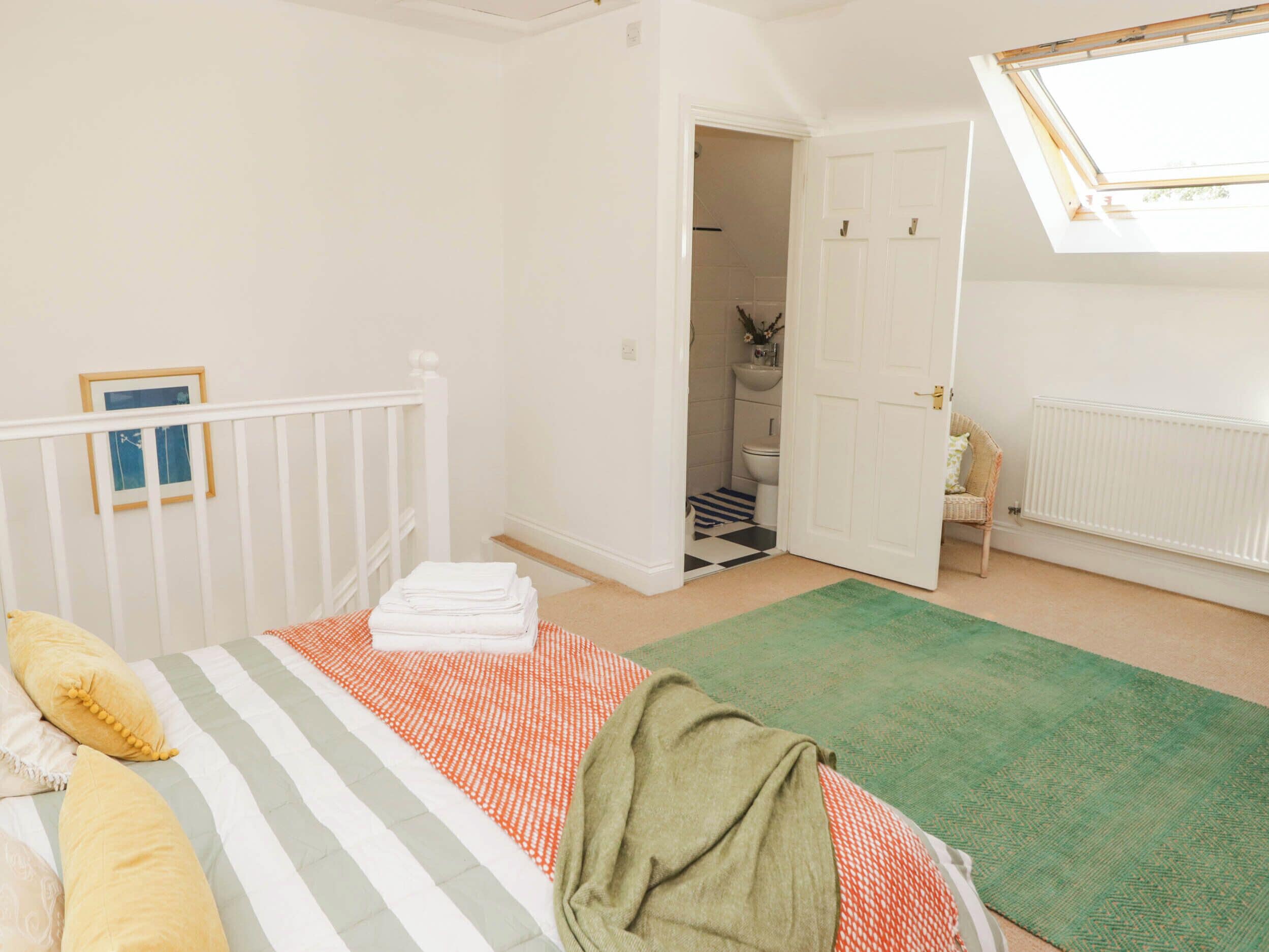 A bedroom with a bed, a green rug, a white door leading to a bathroom, and a skylight.