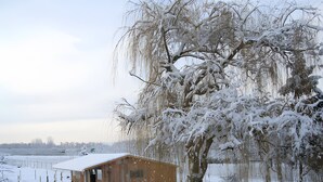 Lumipeitteinen puinen mökki, jonka ympärillä on aita ja jonka lähellä kasvaa puu, jonka oksat roikkuvat alaspäin.