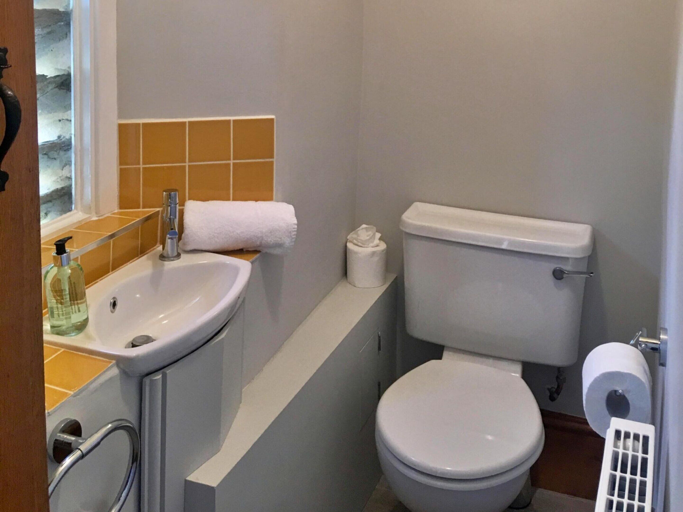 Een badkamer met een wastafel, toilet en handdoekhouder.