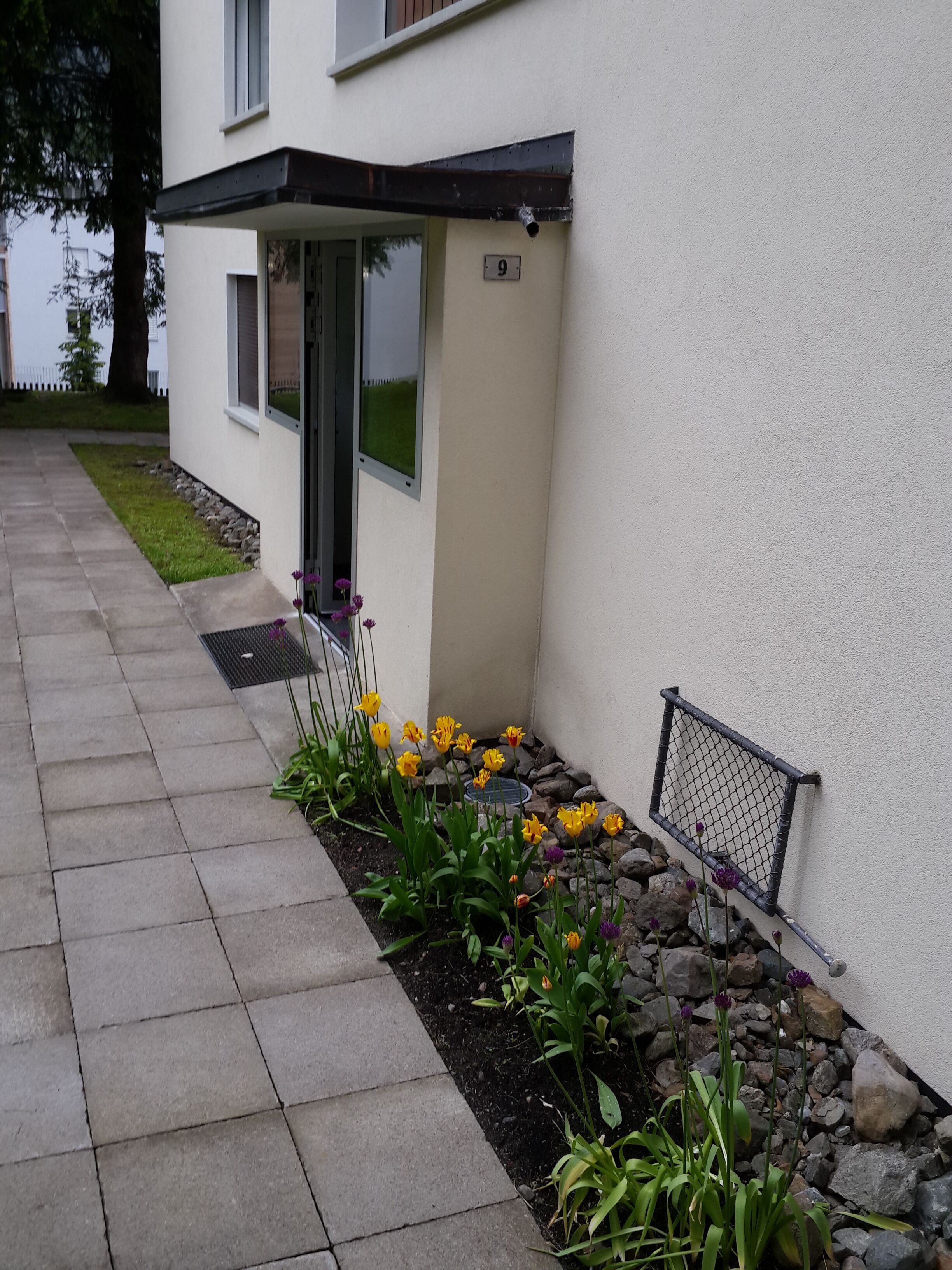 A paved walkway leading to a building with a number 9 sign, a small garden with yellow and purple flowers, and a metal fence.