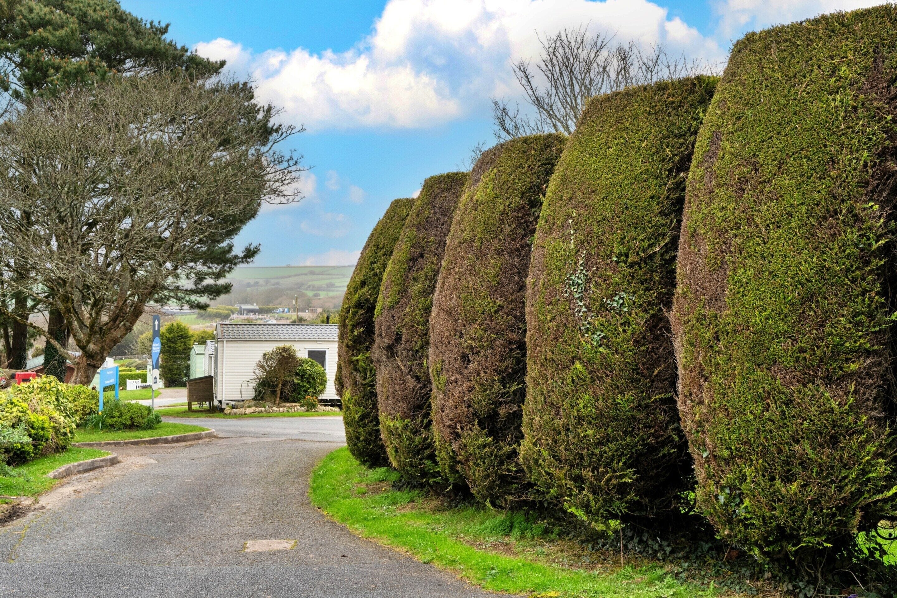 Chalet | Property grounds