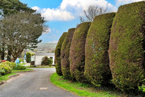 Pine Forest Lodge in Cornwall