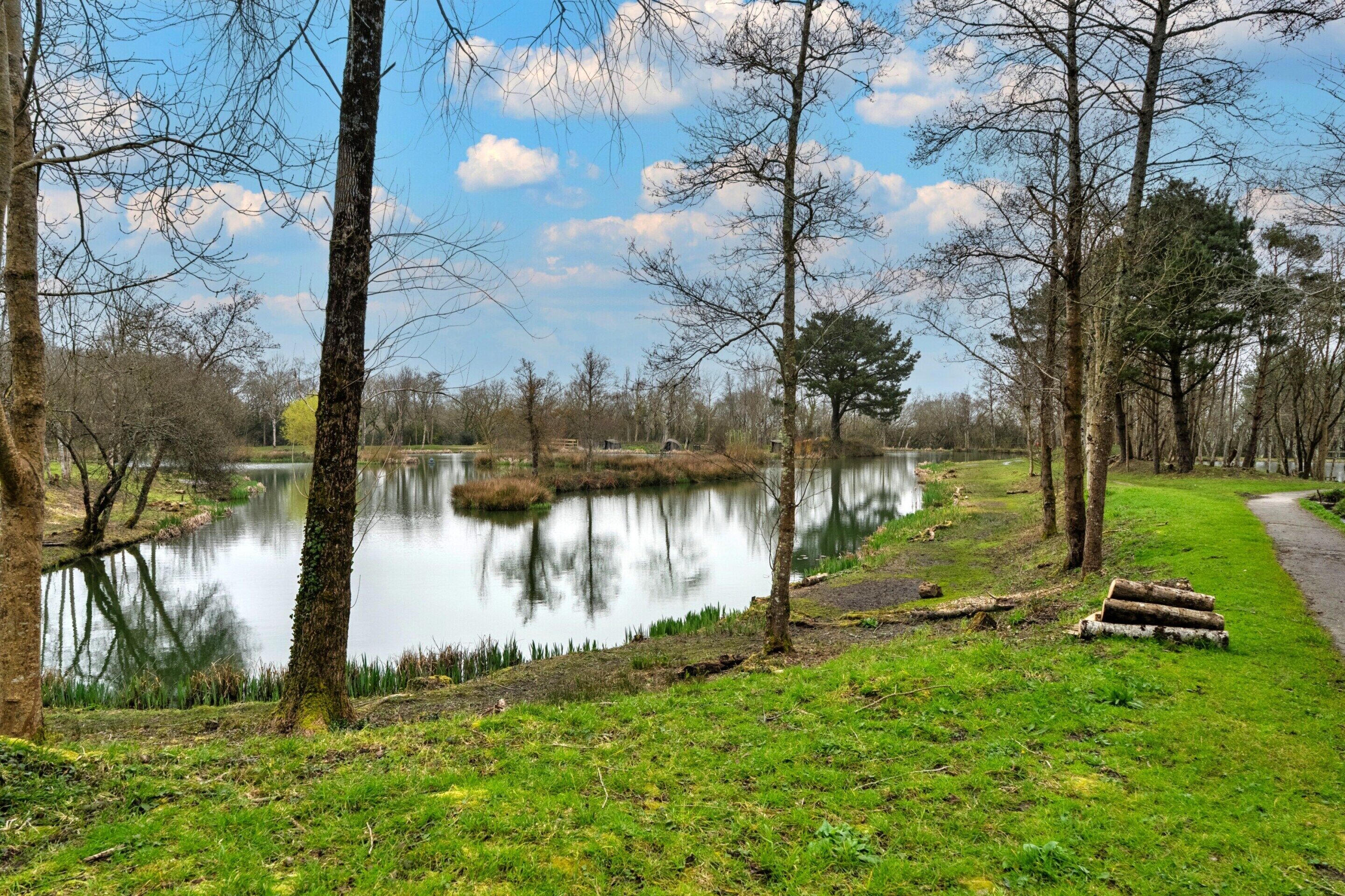 A serene lakeside path with trees and a calm water body.