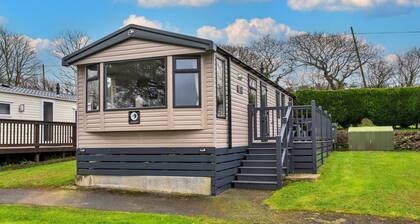 Pine Forest Lodge in Cornwall