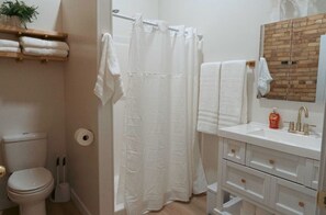 Shower, hair dryer, towels, soap - Newly renovated 2-bedroom Downtown apartment Mount Pleasant with AC! (Mount Pleasant)