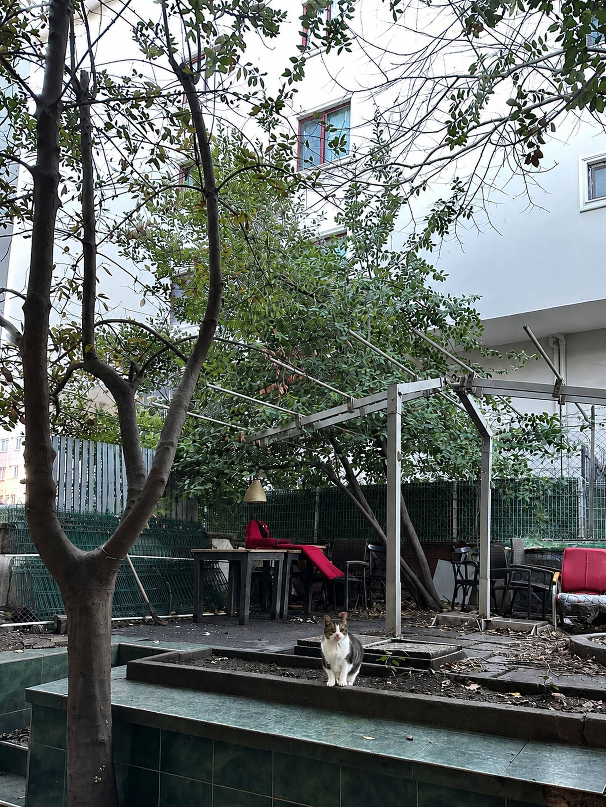 Shared Dormitory, 1 Bedroom, Smoking | Property grounds