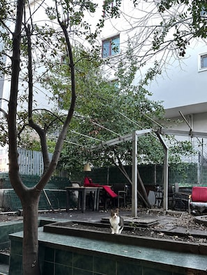 Shared Dormitory, 1 Bedroom, Smoking | Property grounds - Room-quiet Single Room Near Seaside - Di (Istanbul)