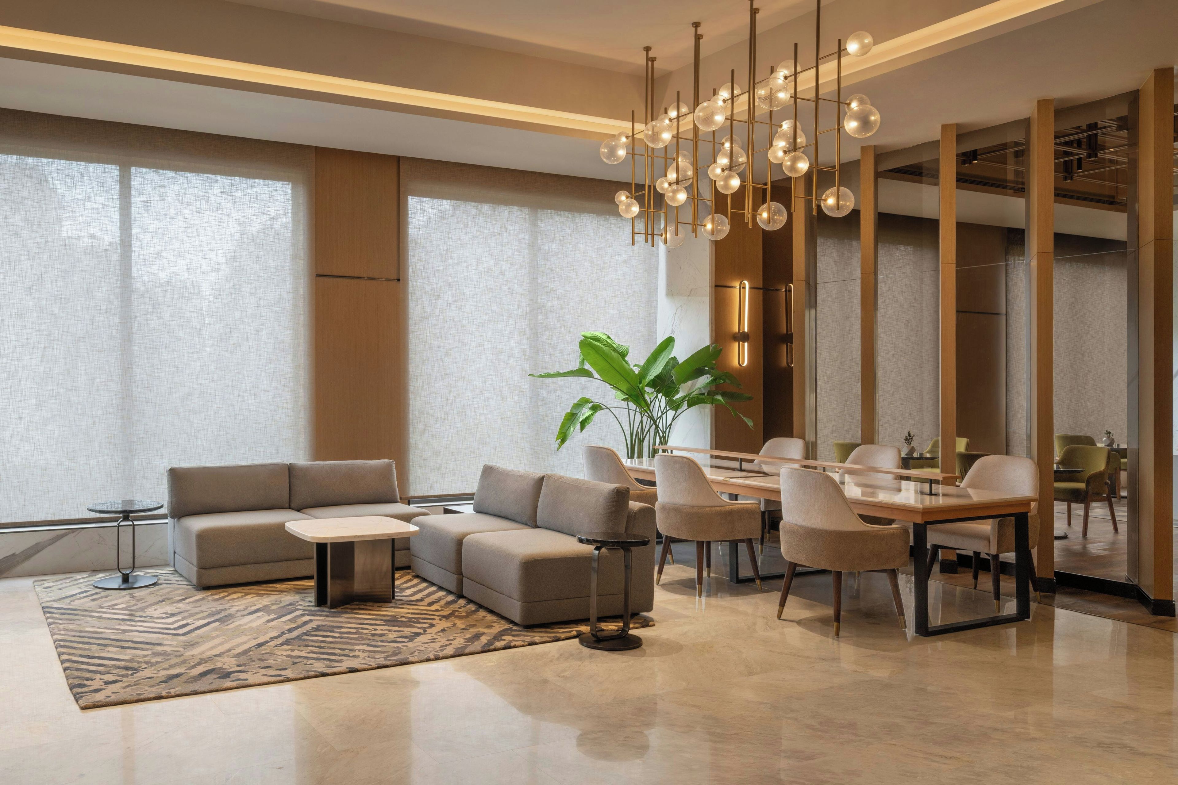 A modern living room with a sectional sofa, a dining table with chairs, a coffee table, and a large potted plant.
