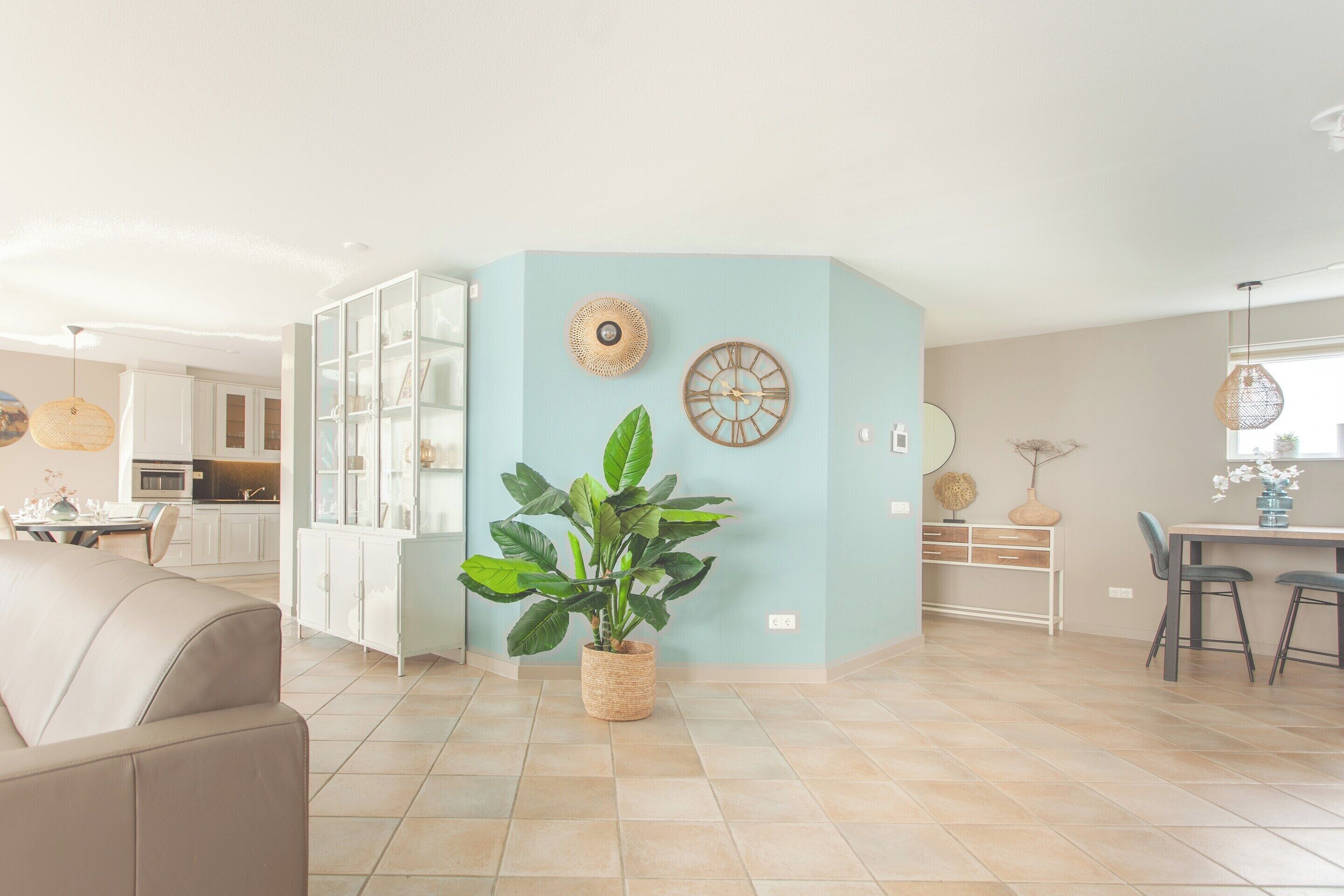A modern living room with a large potted plant, a dining area with a table and chairs, and a kitchen in the background.