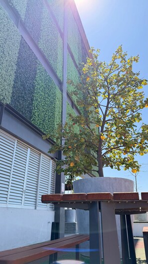 A building with a vertical garden facade, a tree with yellow leaves, and a wooden bench. - One-of-a-Kind Venue: Akron World Stadium 2026 (Zapopan)