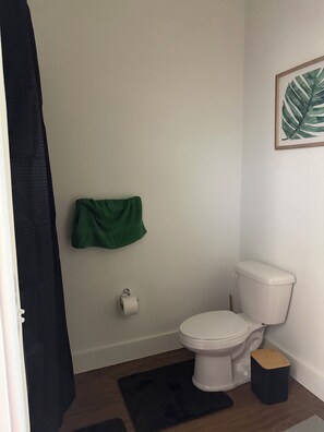 Ein Badezimmer mit Toilette, einem grünen Handtuch, einer Toilettenpapierrolle, einem gerahmten Kunstwerk mit einem Blatt und einem schwarzen Teppich.