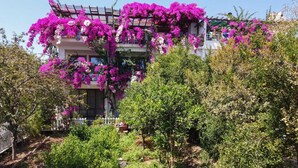 Chambre Confort, vue sur le jardin