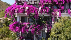 A building with multiple balconies covered in vibrant pink bougainvillea flowers. - Liman Pansiyon Palamutbükü (Datca)