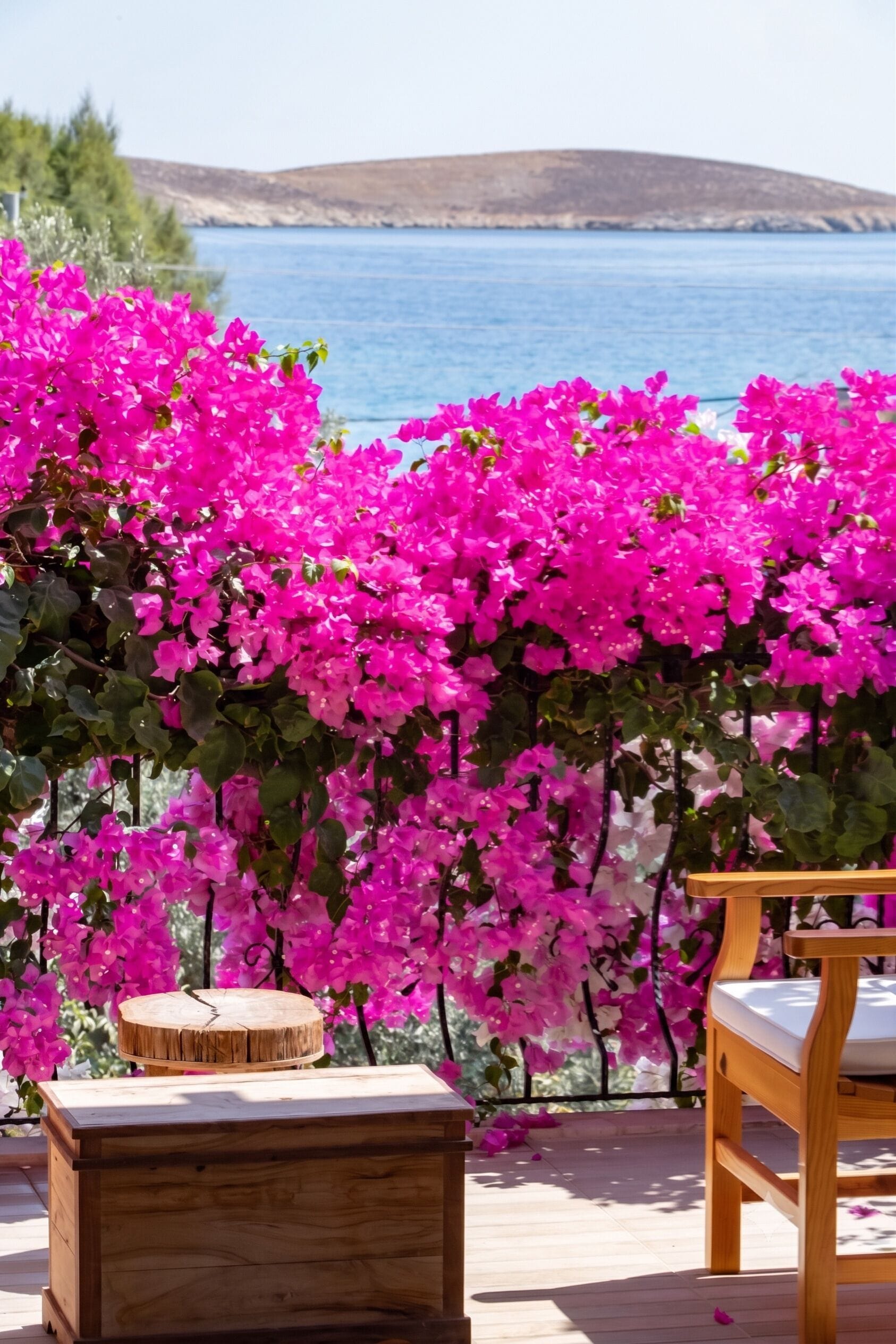 A wooden deck with a view of the sea and pink bougainvillea flowers.